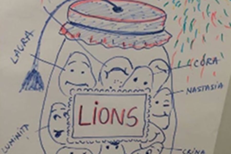 Lions Quest România - Seminar 24 - Constanta