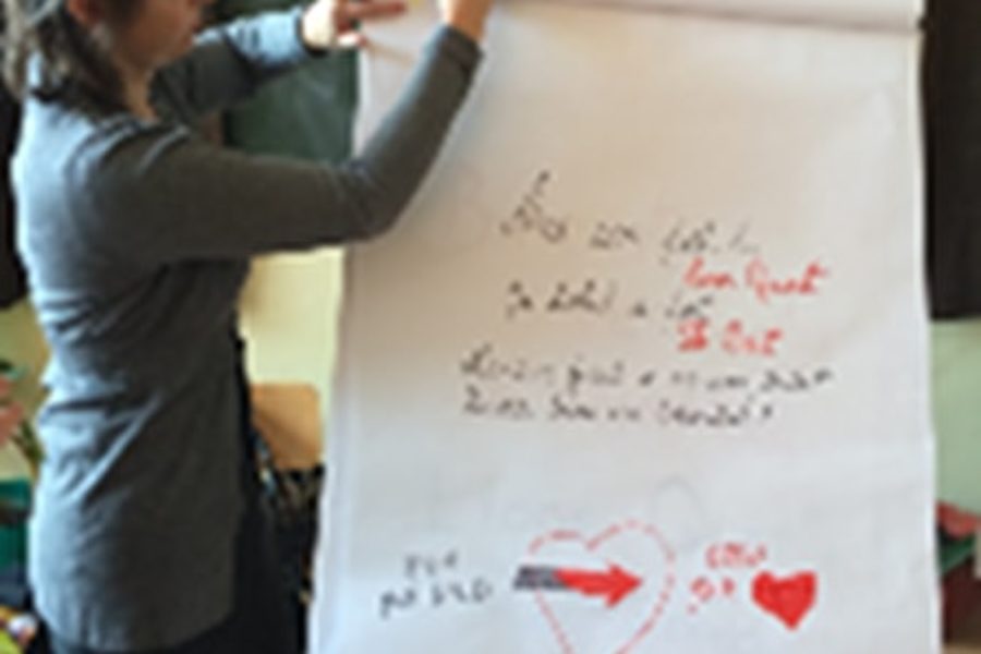 Lions Quest România - Seminar 9 - Toplita