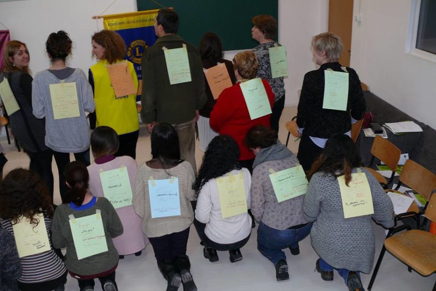 Lions Quest România - Seminar 43 - Calarasi