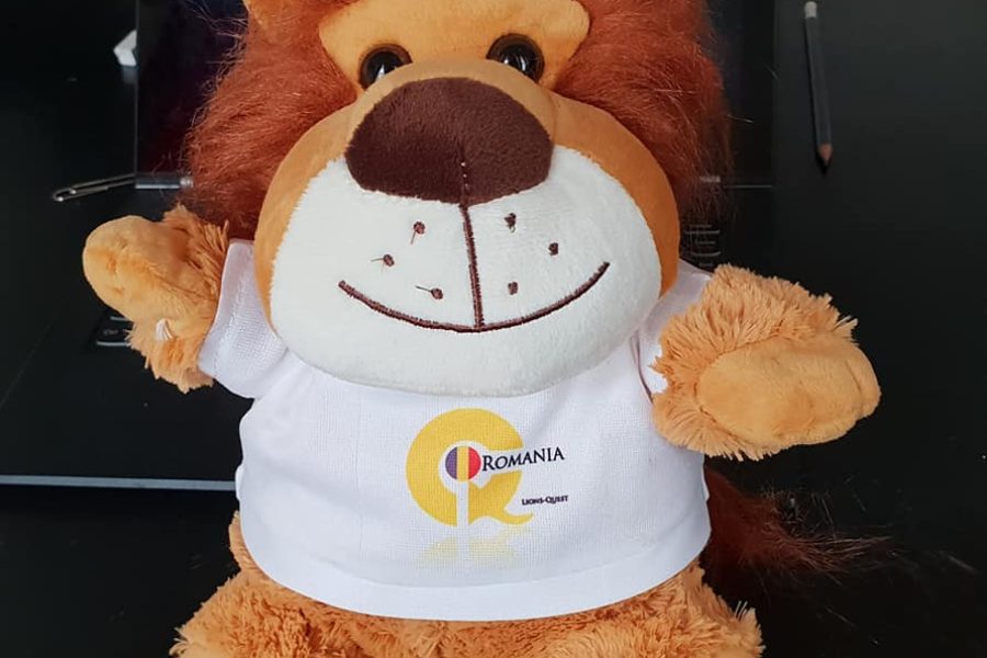 Lions Quest România - Seminar 46 - Bistrita