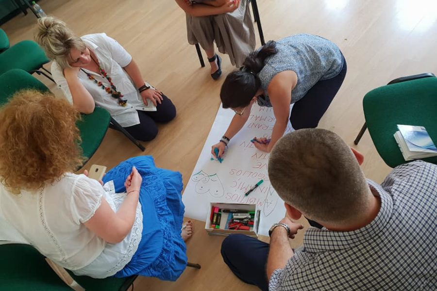 Lions Quest România - Seminar 46 - Bistrita