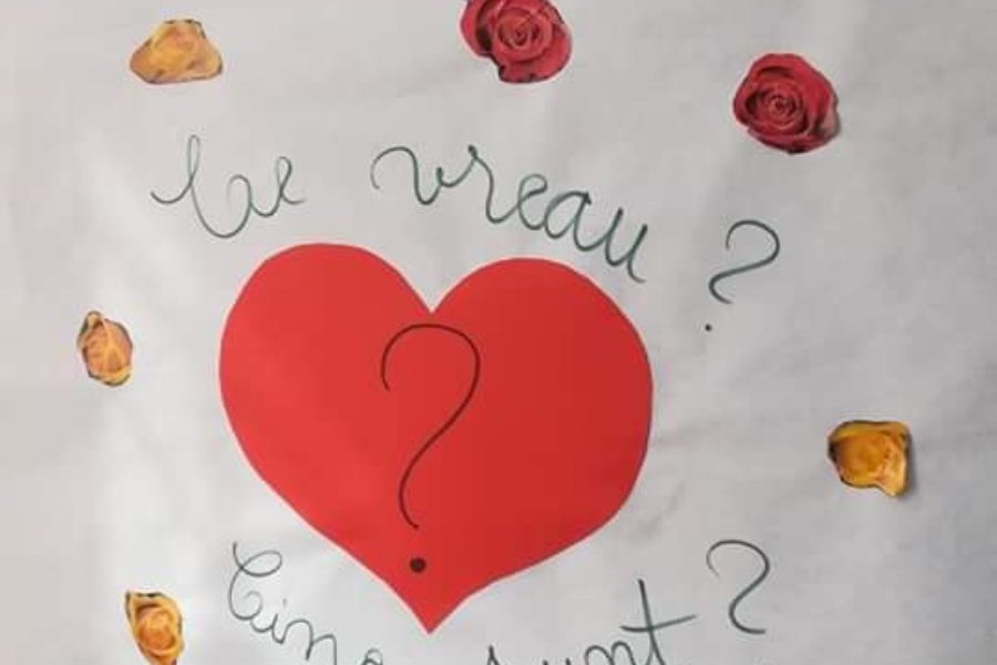 Lions Quest România - Seminar 68 - Cluj Napoca