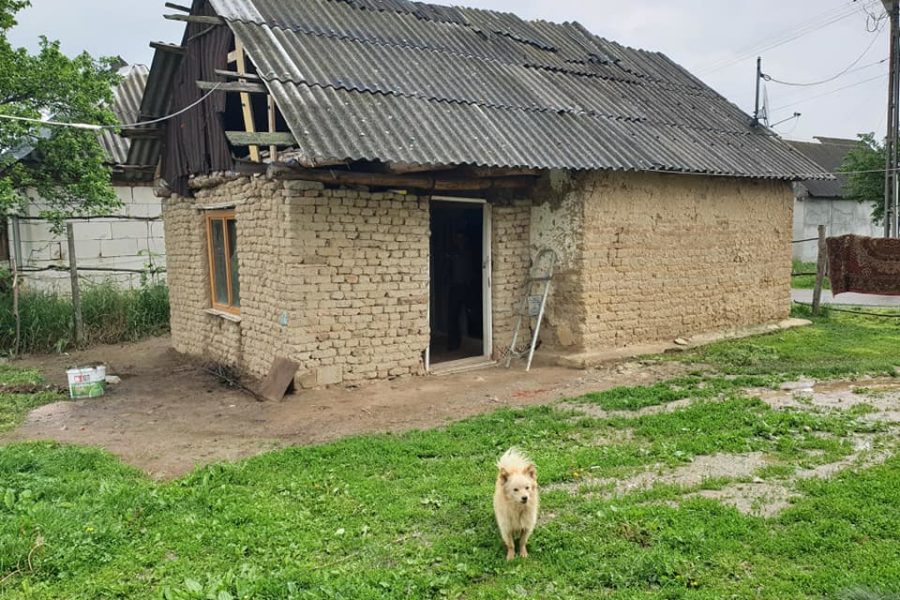 Lions Quest România - Seminar 71 - Socond - Satu Mare