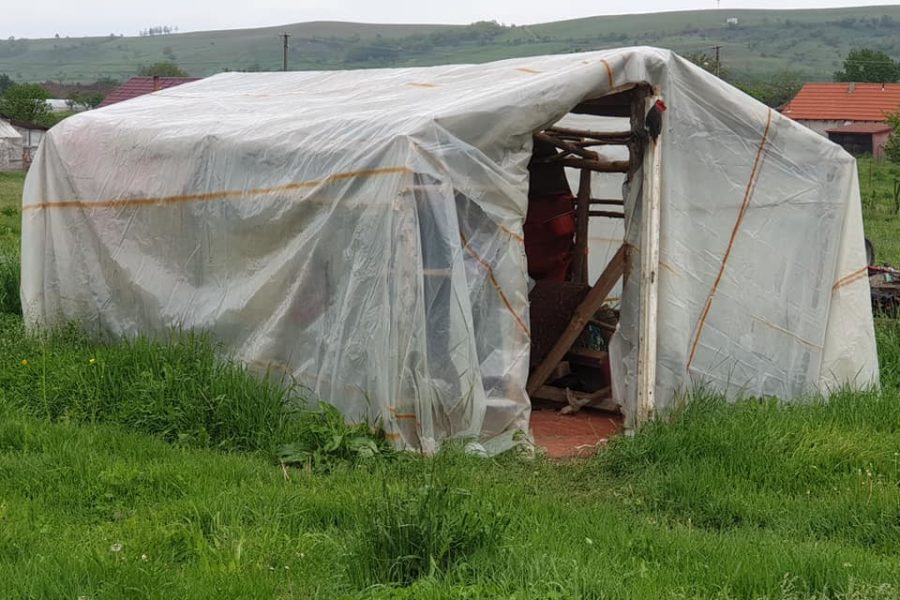 Lions Quest România - Seminar 71 - Socond - Satu Mare