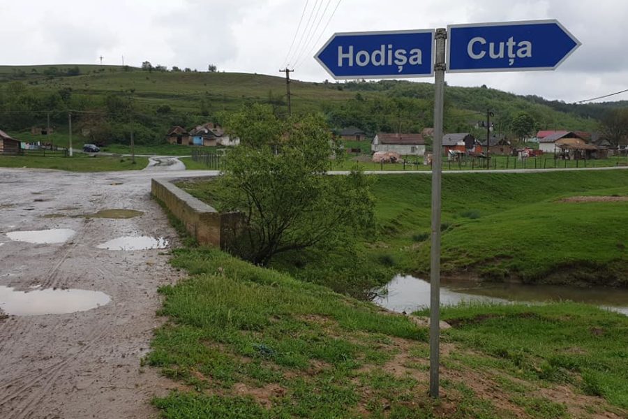 Lions Quest România - Seminar 71 - Socond - Satu Mare