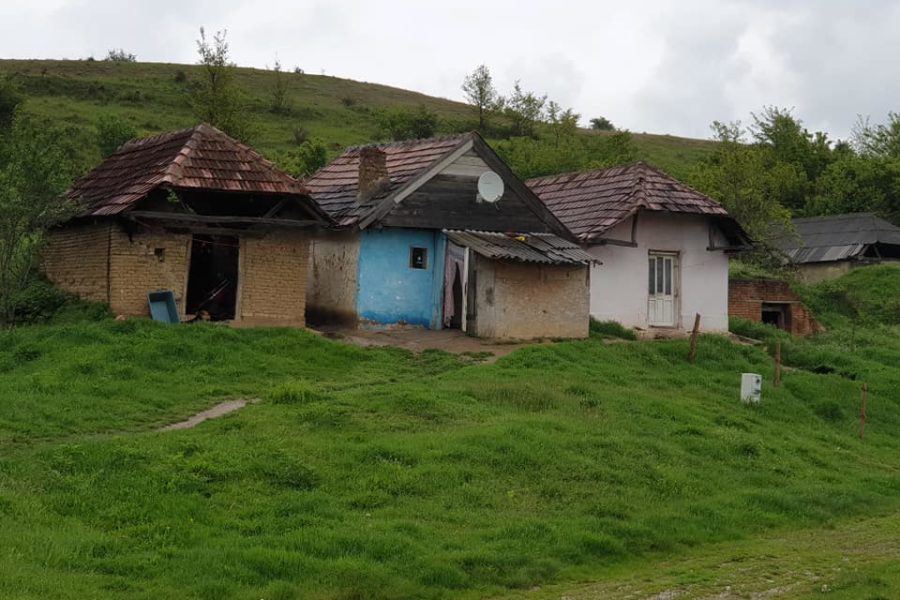 Lions Quest România - Seminar 71 - Socond - Satu Mare