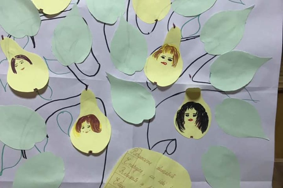 Lions Quest România - Seminar 86 - Vicovu de Sus