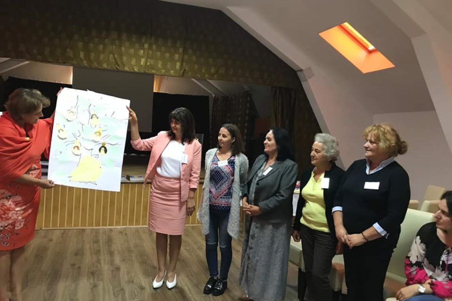 Lions Quest România - Seminar 86 - Vicovu de Sus