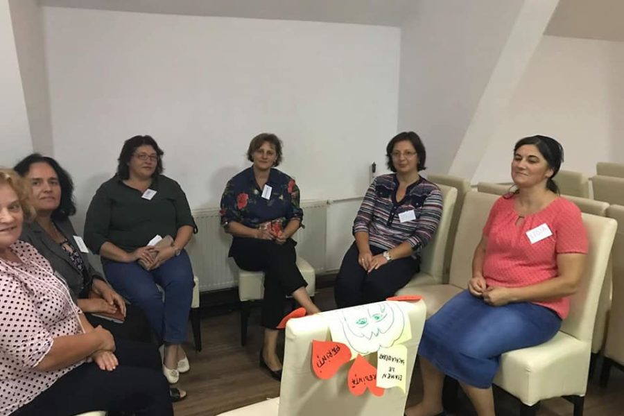 Lions Quest România - Seminar 86 - Vicovu de Sus