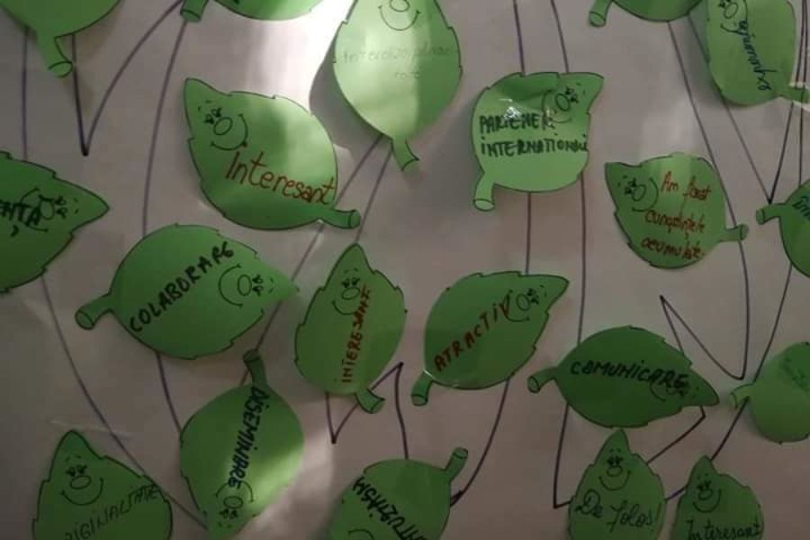 Lions Quest România - Seminar 91 - Târgoviște